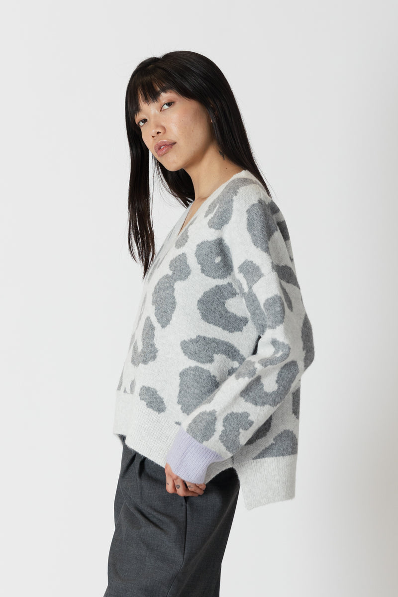 Animal Print V-Neck Knit